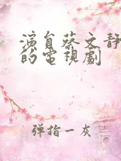 演员蔡文静演过的电视剧