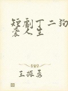 短剧丁二狗的逆袭人生