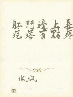 肛门边上长个硬疙瘩有点疼