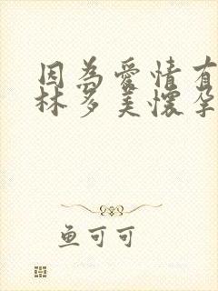 因为爱情有多美林多美怀孕