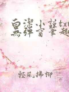 白洁小说txt无弹窗笔趣阁