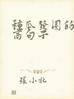 种瓜发圈的高情商句子