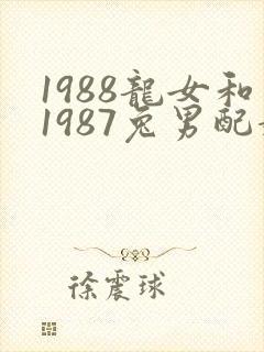 1988龙女和1987兔男配婚姻好不好