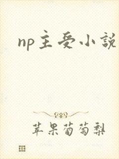 np主受小说h
