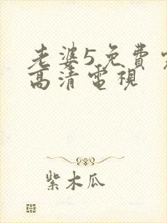 老婆5免费完整高清电视