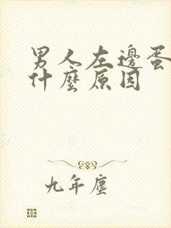 男人左边蛋疼是什么原因