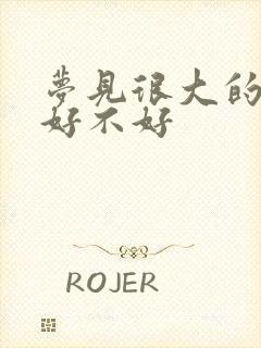 梦见很大的黄鳝好不好