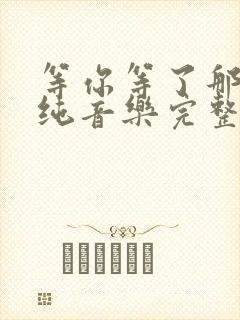 等你等了那么久纯音乐完整版