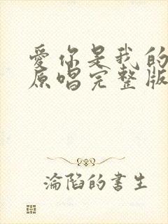 爱你是我的选择原唱完整版