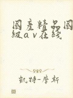 国产精品国产三级a v在线