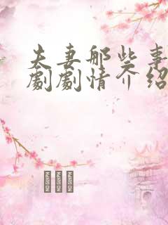 夫妻那些事电视剧剧情介绍