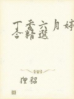 丁香六月婷婷综合精选