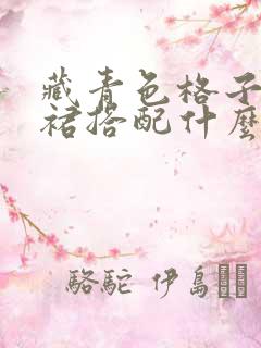 藏青色格子半身裙搭配什么颜色上衣