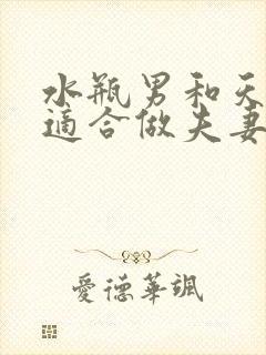 水瓶男和天秤女适合做夫妻吗