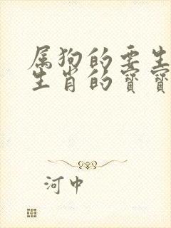 属狗的要生什么生肖的宝宝