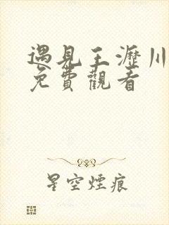 遇见王沥川在线免费观看