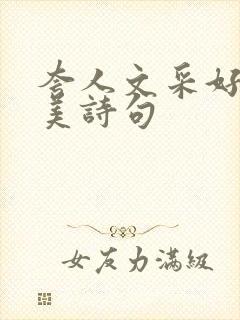 夸人文采好的赞美诗句