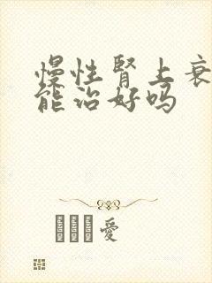 慢性肾上衰竭可能治好吗