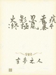 火影忍者疾风传:终极风暴4