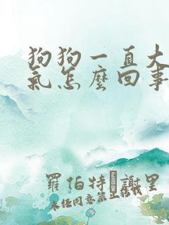 狗狗一直大口喘气怎么回事