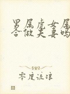 男属虎女属鸡适合做夫妻吗