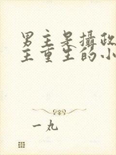 男主是摄政王女主重生的小说