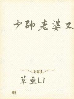 少帅老婆又跑了