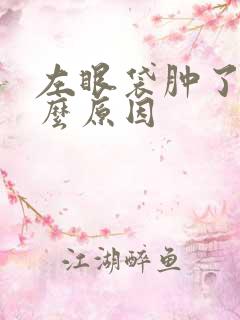 左眼袋肿了是什么原因