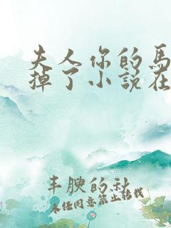 夫人你的马甲又掉了小说在线阅读