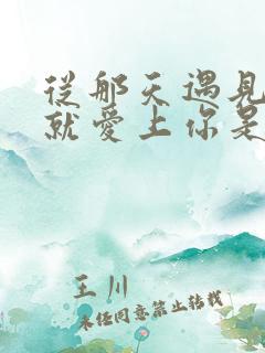 从那天遇见你我就爱上你是什么歌