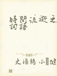 时间流逝之快的词语