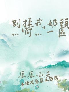 别揉我奶头…嗯…啊…一区二区三区