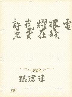 许我耀眼电视剧免费在线