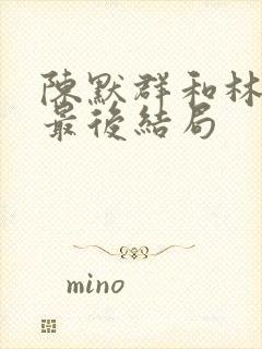 陈默群和林楠笙最后结局