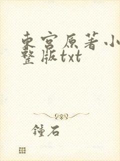 东宫原著小说完整版txt