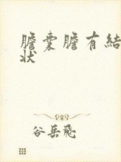 胆囊胆有结石症状