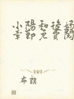 小阳和后妈全部章节免费阅读