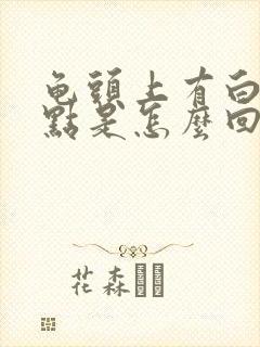 龟头上有白色斑点是怎么回事