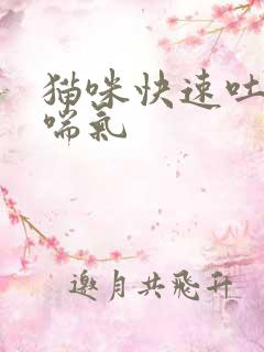 猫咪快速吐舌头喘气