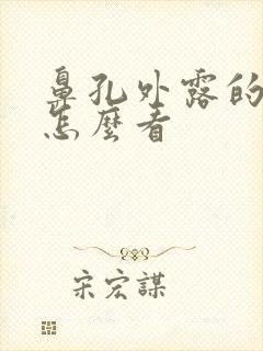 鼻孔外露的面相怎么看