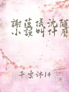 谢蕴仪沈随枫的小说叫什么名字