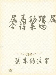 属马的跟属龙的合得来吗