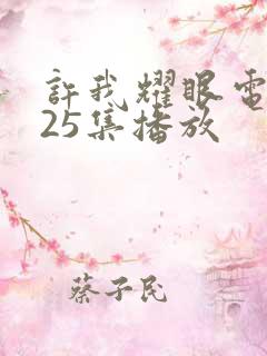 许我耀眼电视剧25集播放