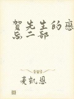 贺先生的恋恋不忘二部