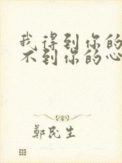 我得到你的人得不到你的心歌词