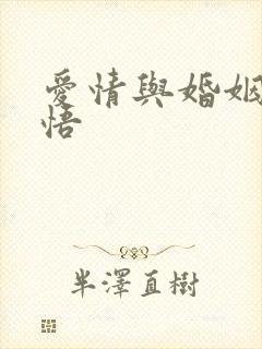 爱情与婚姻的感悟