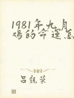 1981年九月鸡的命运怎么样