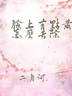 脸上有点黄褐斑怎么去除