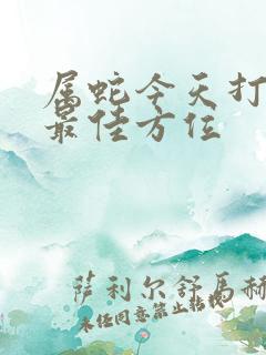 属蛇今天打牌的最佳方位