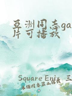 亚洲同志gay片可播放